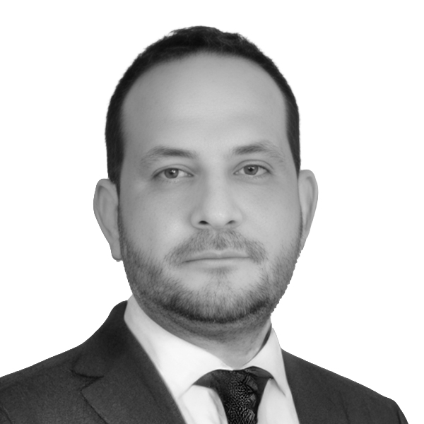 Mehmet Erdem YAŞAR